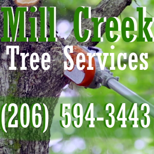 Mill Creek Tree Service - Washington State tree services